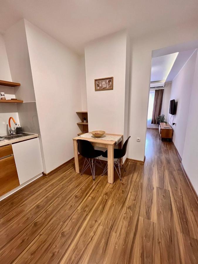 Dani Lux Belgrade Center Studio Apartment Εξωτερικό φωτογραφία